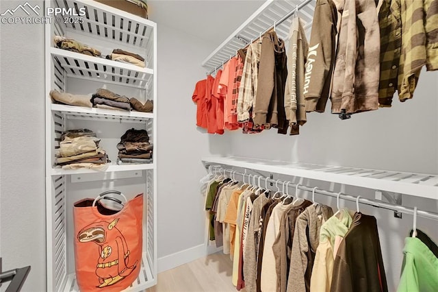 spacious closet featuring light wood-type flooring