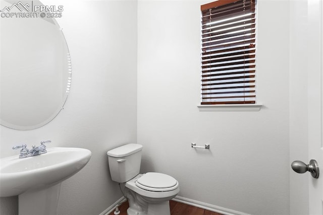 bathroom with wood-type flooring, sink, and toilet