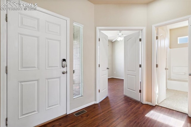 entryway featuring dark wood-type flooring