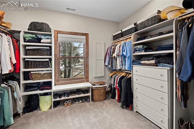 spacious closet with light colored carpet