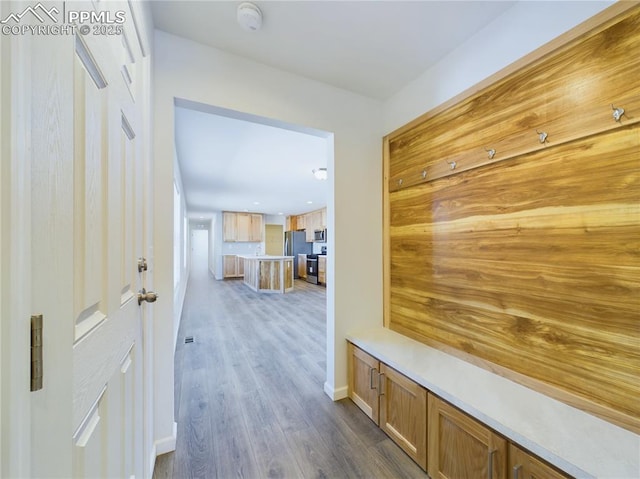 mudroom featuring dark wood-type flooring