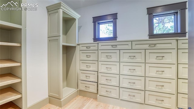 walk in closet featuring light wood-type flooring