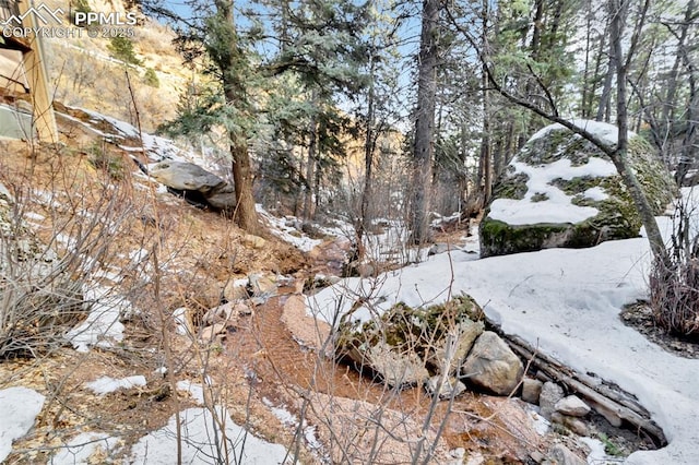 view of snowy landscape