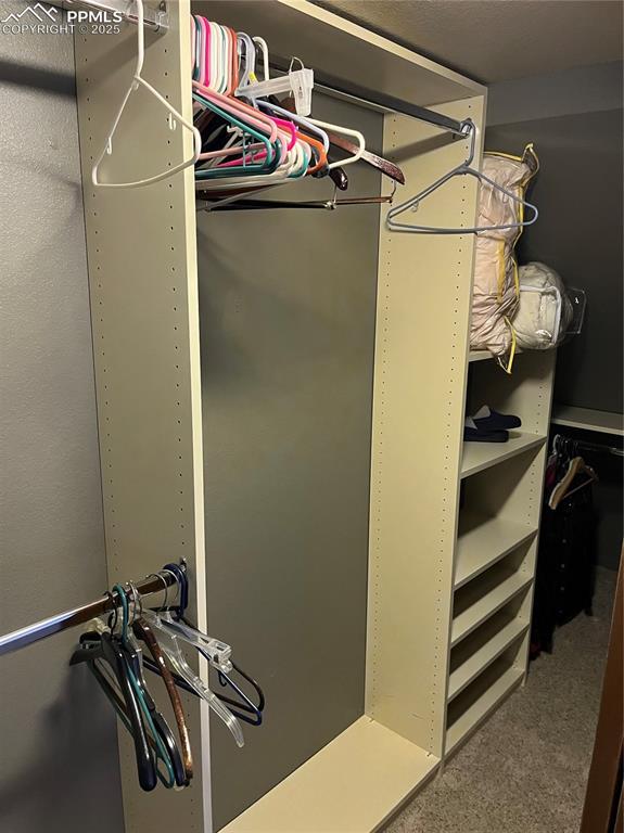 spacious closet with carpet floors