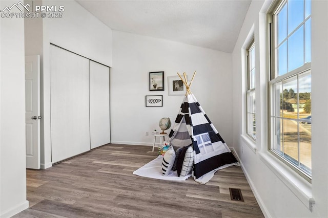 interior space with vaulted ceiling and wood-type flooring