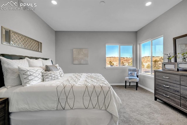 bedroom with carpet flooring