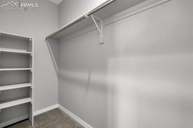 walk in closet with dark colored carpet