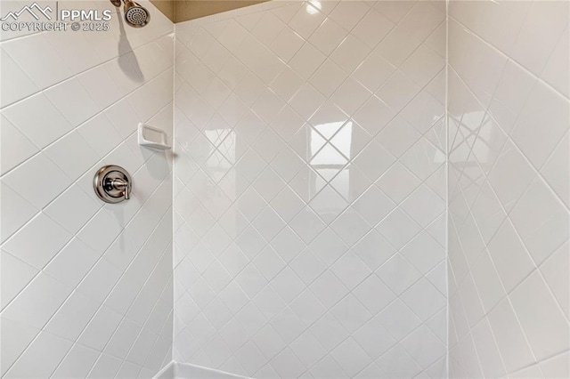 room details with tiled shower