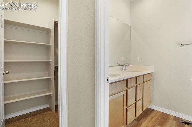 bathroom with vanity and wood-type flooring