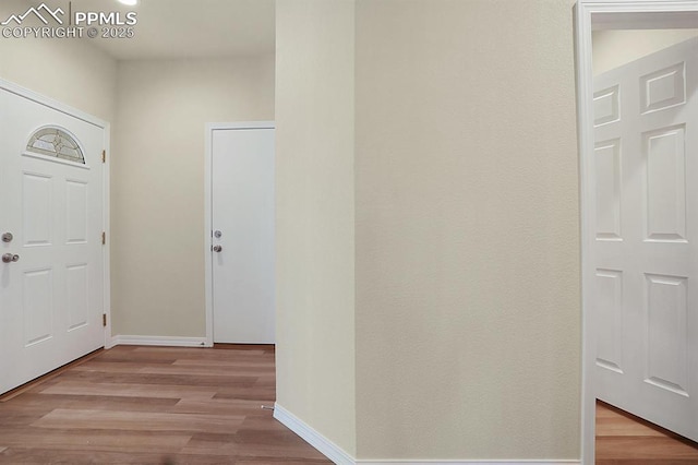 foyer with light hardwood / wood-style flooring