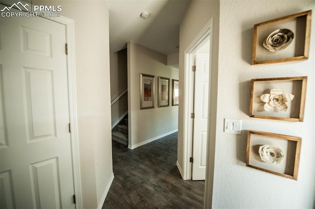 corridor with dark hardwood / wood-style flooring