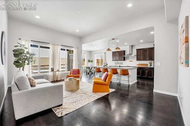 living room with dark wood-type flooring and sink