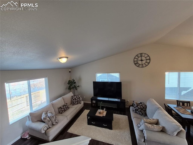 living room featuring hardwood / wood-style flooring and vaulted ceiling