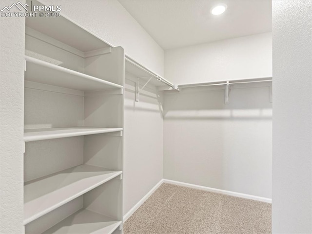 walk in closet with carpet floors