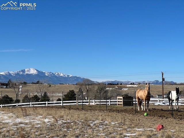 view of yard featuring a rural view and a mountain view