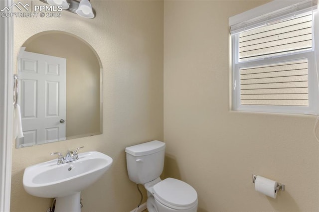 bathroom featuring sink and toilet