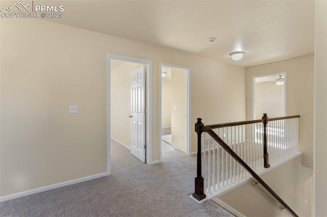 hallway with light carpet