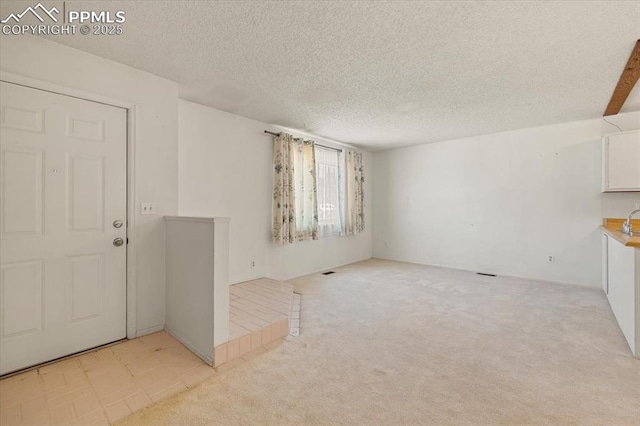 interior space with light colored carpet, sink, and a textured ceiling