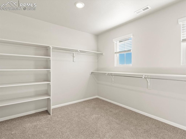 spacious closet featuring carpet