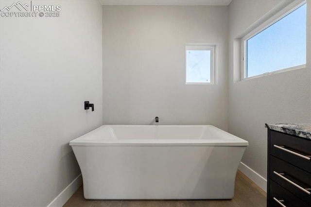 bathroom with a washtub, vanity, and hardwood / wood-style floors