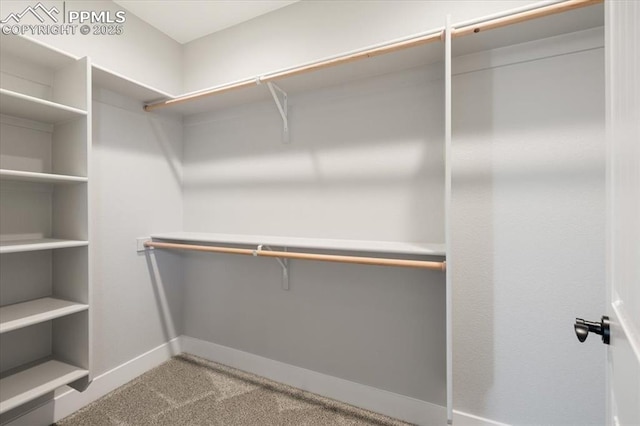 spacious closet featuring light colored carpet