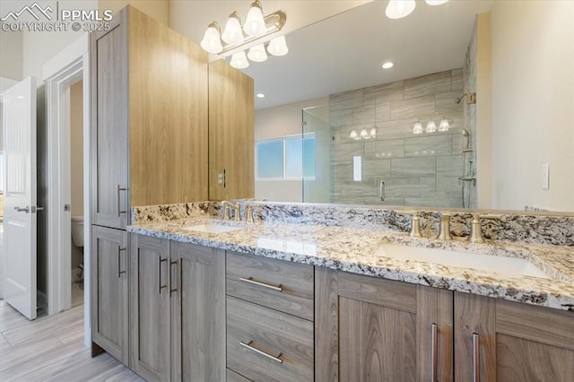 bathroom featuring an enclosed shower, vanity, and toilet