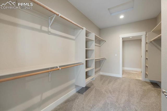 spacious closet with carpet flooring