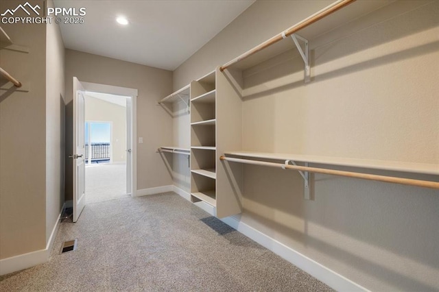 spacious closet with light carpet