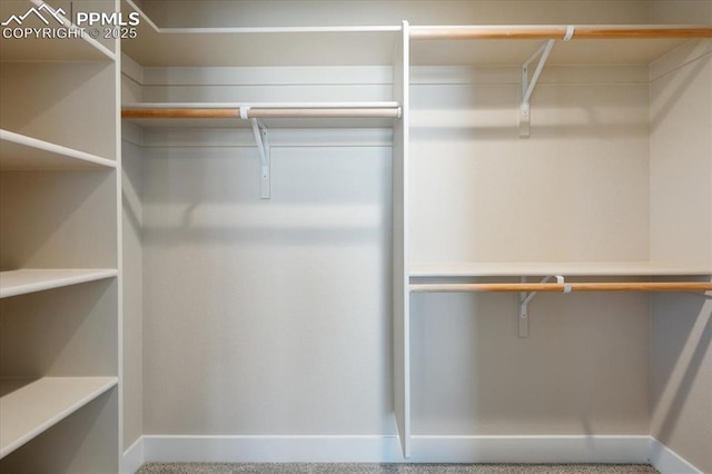 view of walk in closet