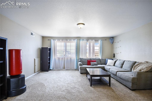 living room featuring carpet and a textured ceiling