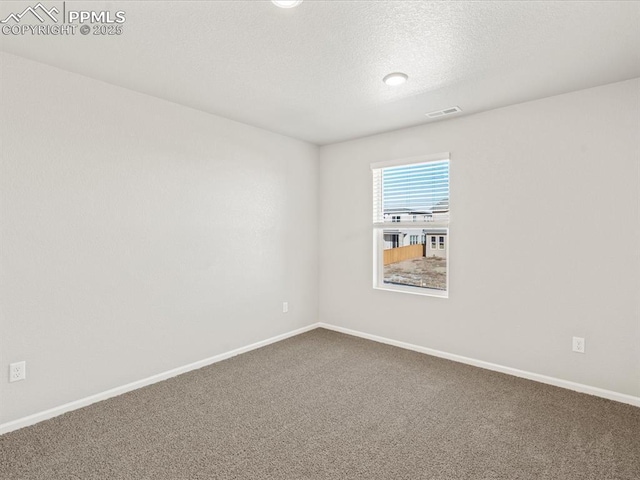 spare room featuring carpet and a textured ceiling