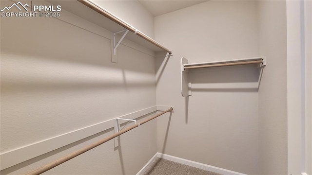 walk in closet featuring carpet