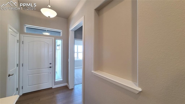 entrance foyer with dark hardwood / wood-style floors