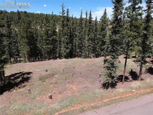 220 Iron Eagle Pt, Woodland Park CO, 80863 land for sale