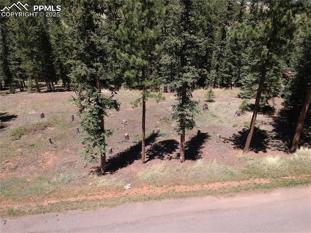 Listing photo 2 for 220 Iron Eagle Pt, Woodland Park CO 80863