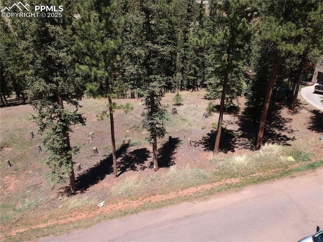 Listing photo 3 for 220 Iron Eagle Pt, Woodland Park CO 80863