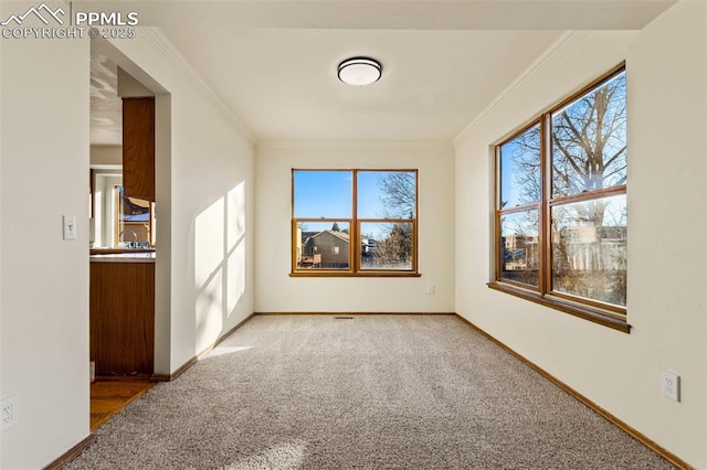 carpeted spare room with ornamental molding and a wealth of natural light