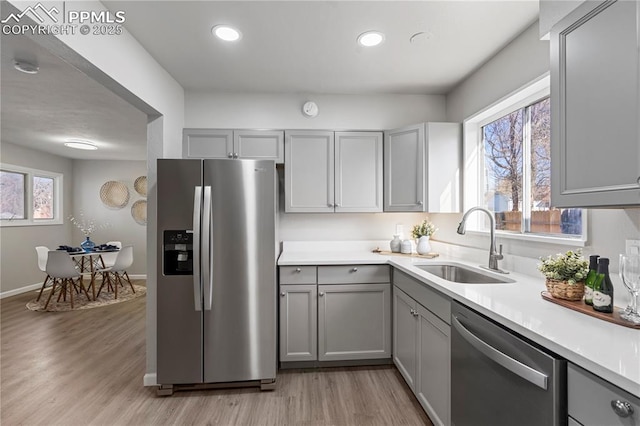 kitchen with gray cabinets, stainless steel appliances, light hardwood / wood-style flooring, and sink