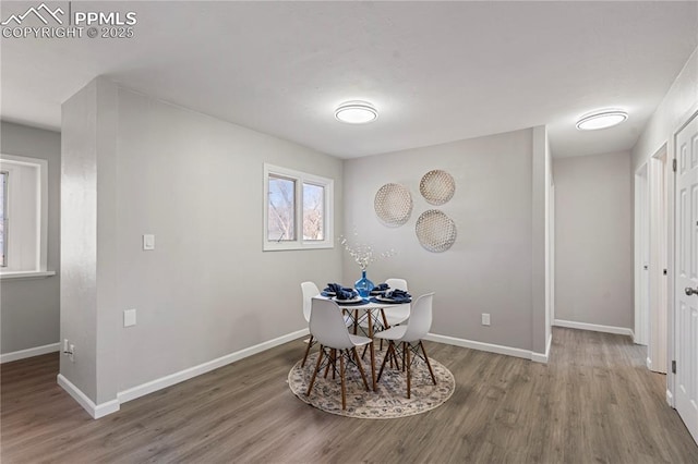 dining room featuring hardwood / wood-style floors