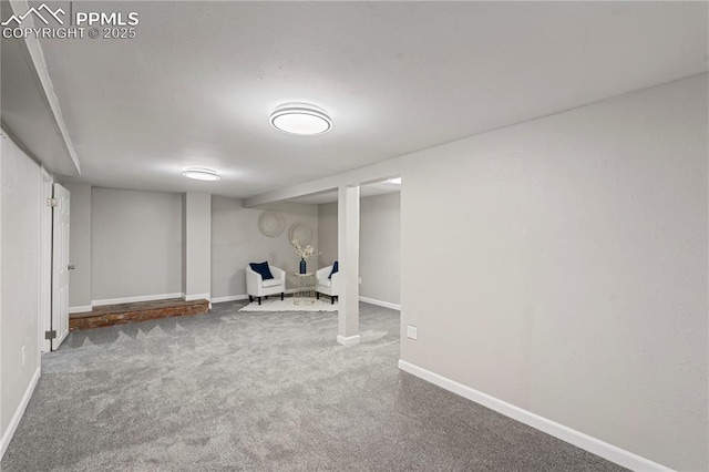 basement with carpet floors