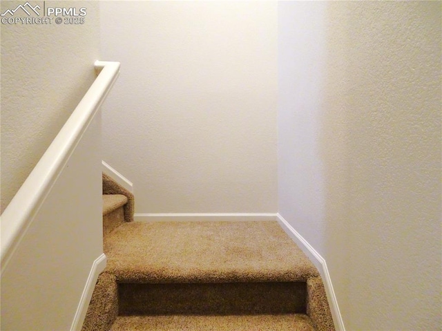 stairway with carpet