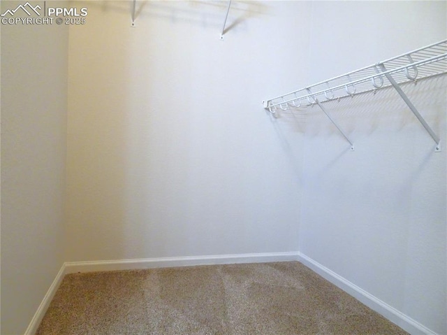 walk in closet with carpet