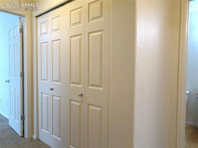 corridor featuring light colored carpet