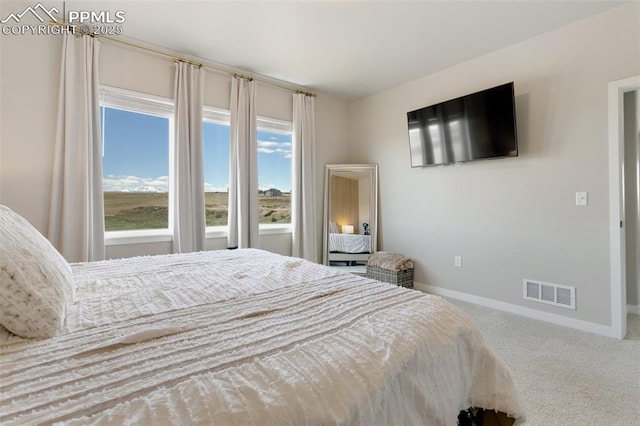 bedroom with carpet, visible vents, and baseboards