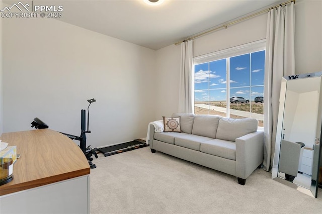 view of carpeted living room