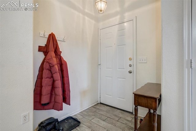 foyer entrance featuring light wood-type flooring