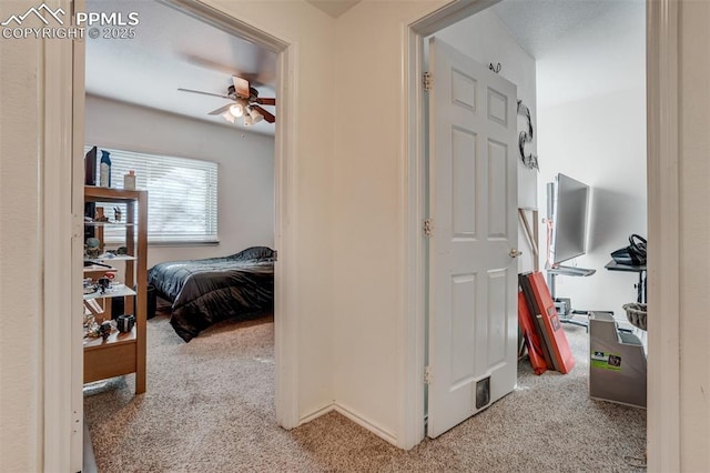 hallway with light carpet