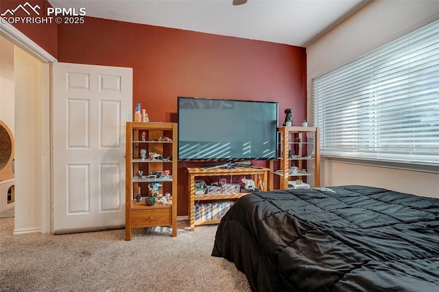 bedroom featuring carpet