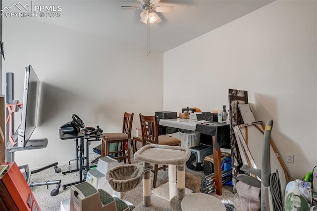 interior space featuring ceiling fan and carpet