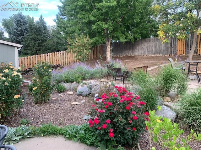 view of yard with a patio